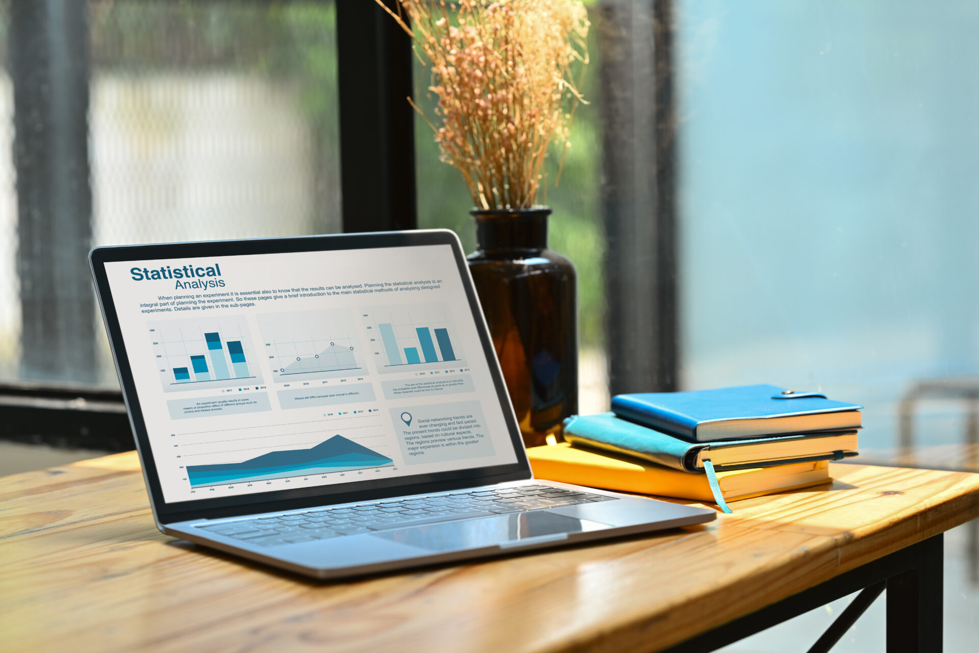 Google ads ve seo performans raporlama grafikleri