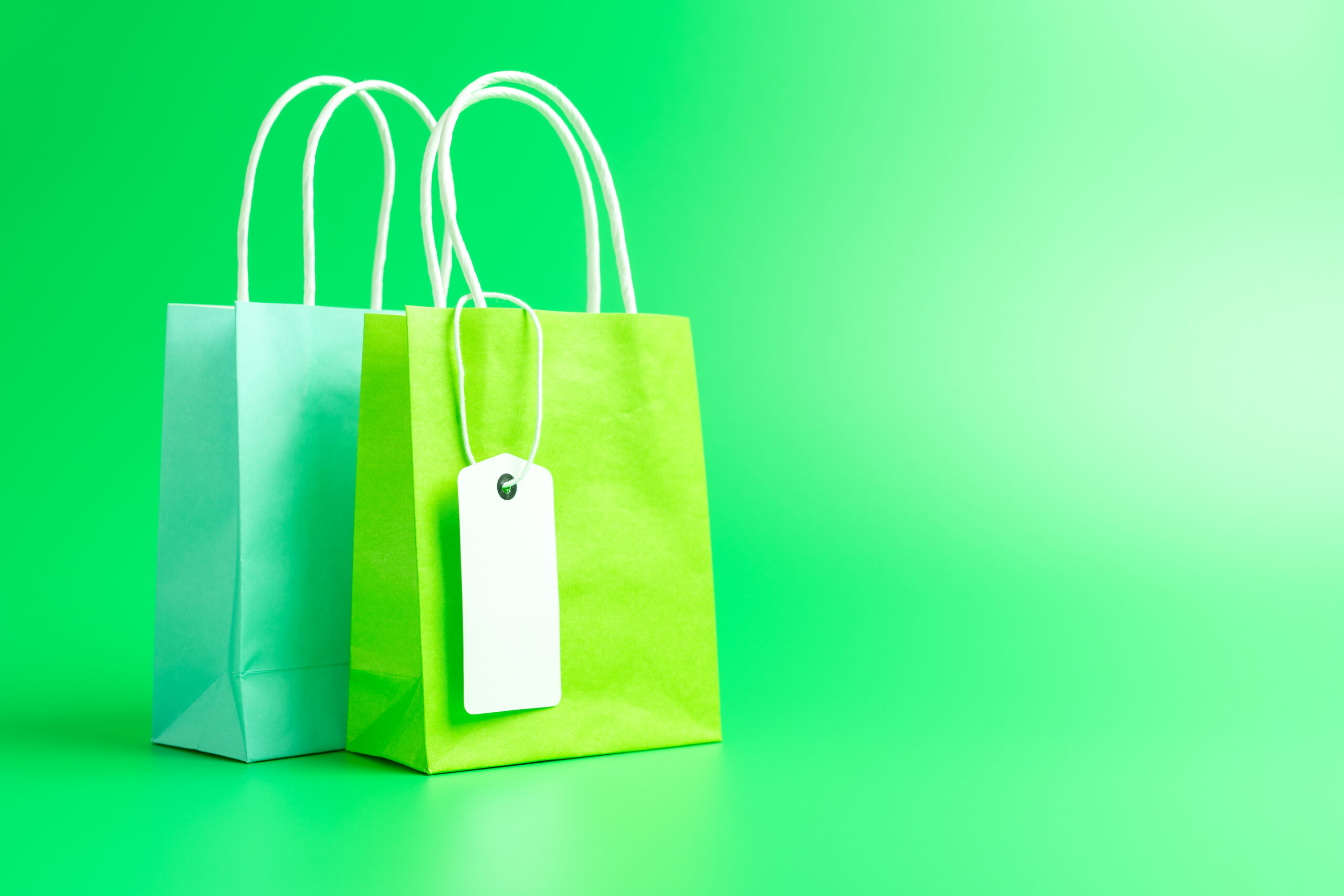 Two green shopping or gift bags isolated on green 2026 01 06 10 29 52 utc scaled